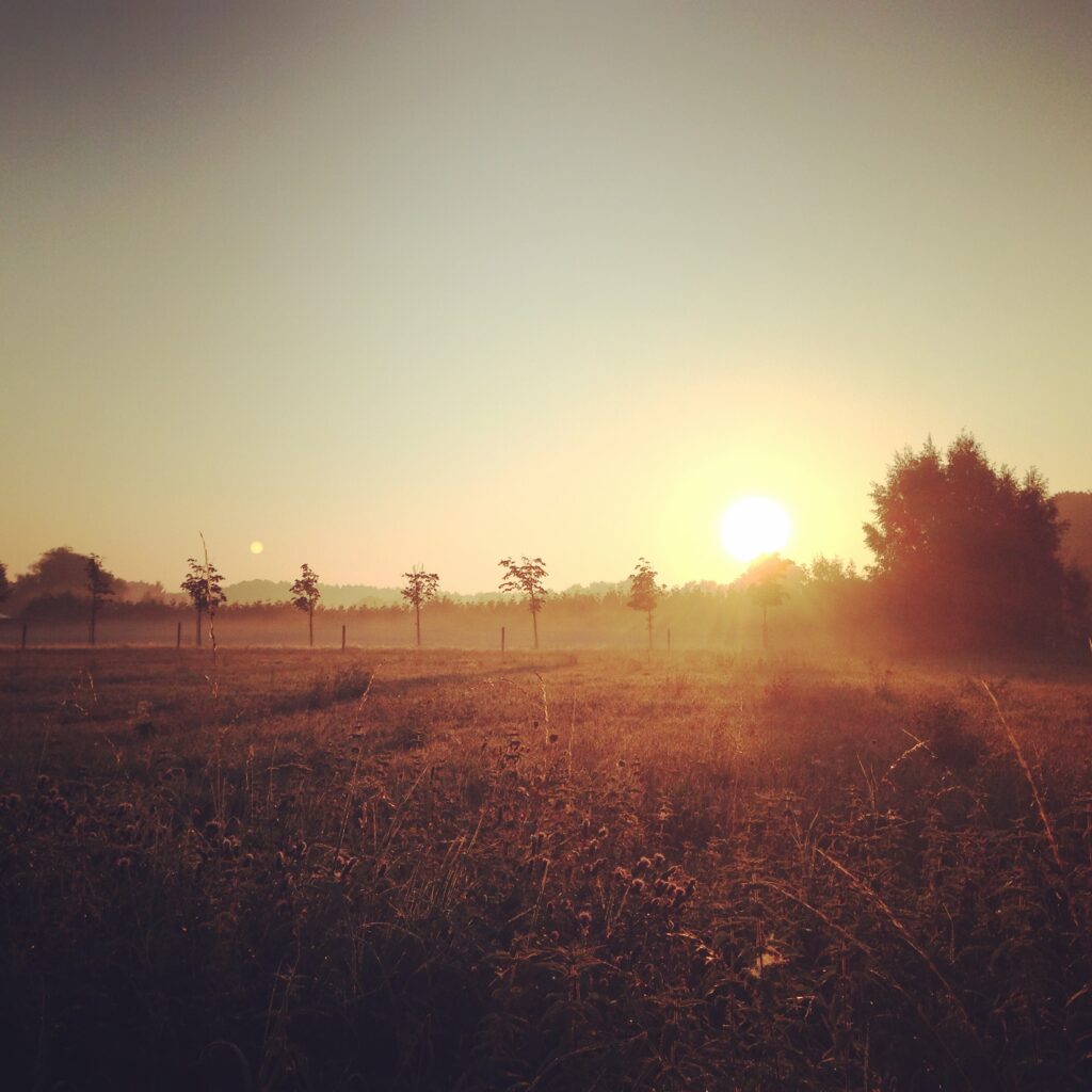 Sunrise