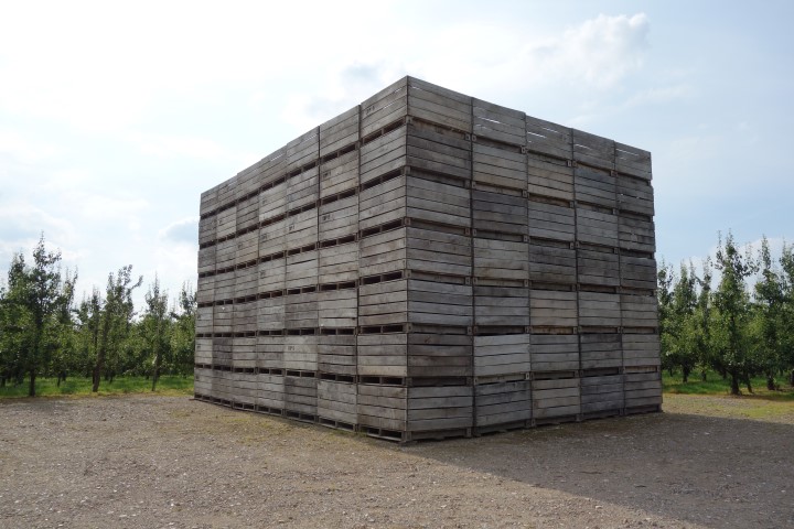 Borgloon