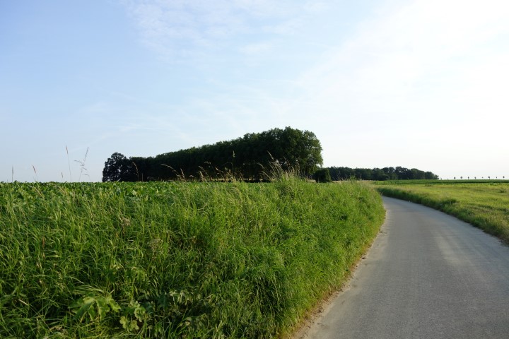 Borgloon