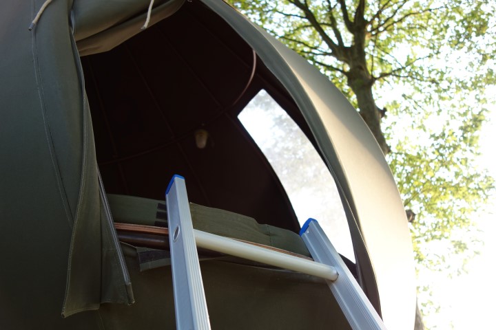 Boomtent Borgloon