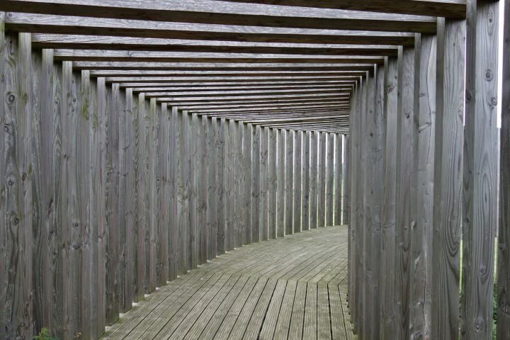 Borgloon