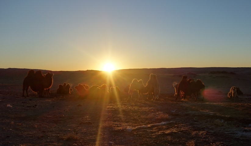 Gobi Mongolië