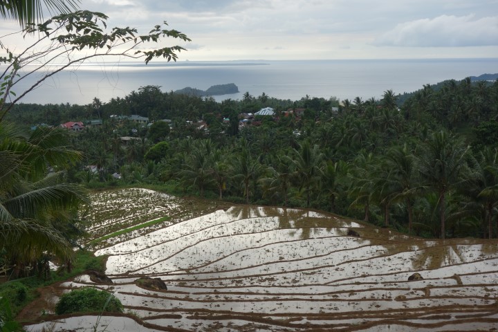 Biliran