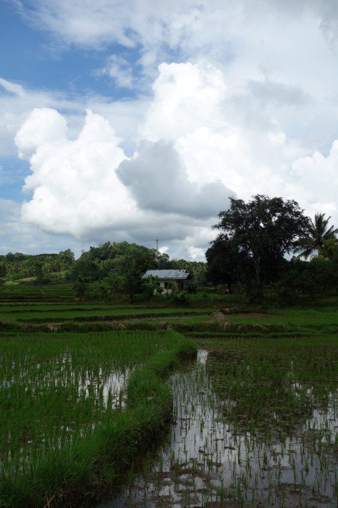 Bohol
