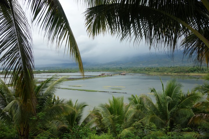 Moalboal
