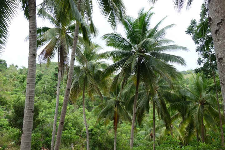 filipijnen