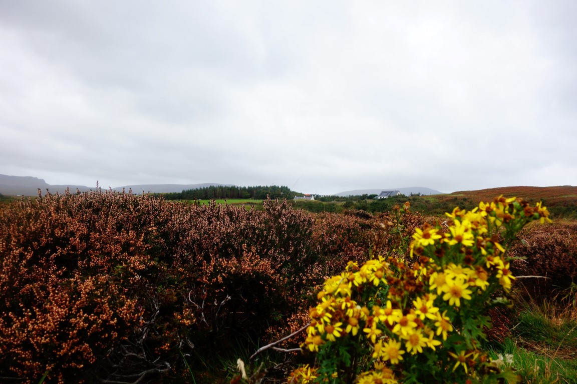 Schotland herfst
