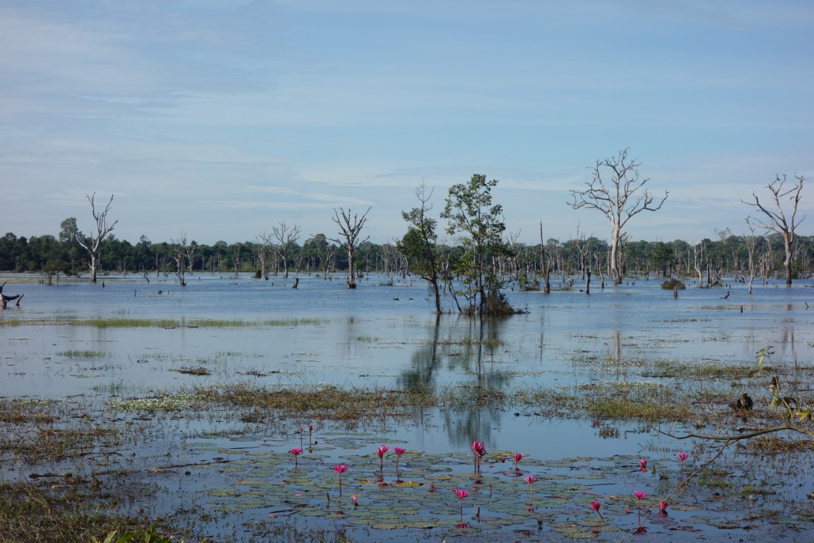 Angkor tempels