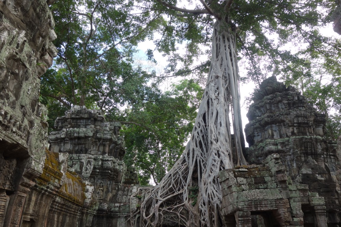 Cambodja Angkor tempel