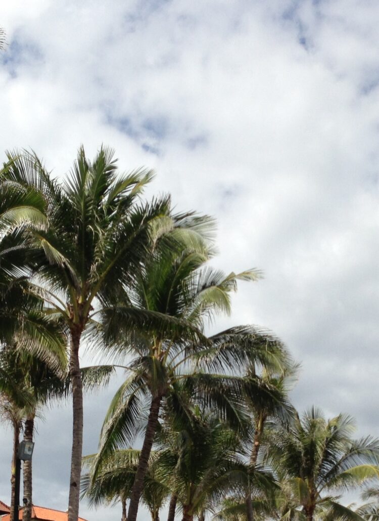 Bali toeristisch