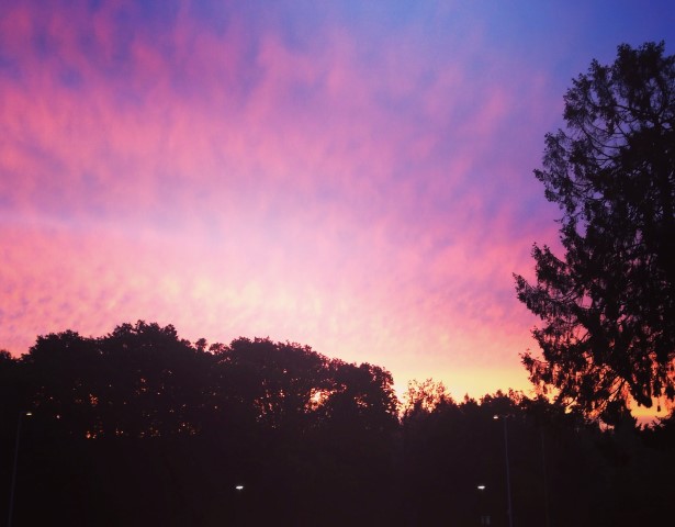 sunset