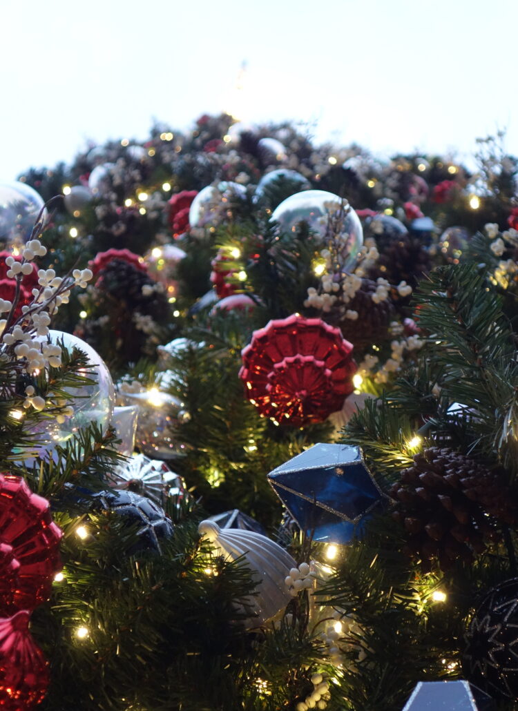 kerstmis op reis