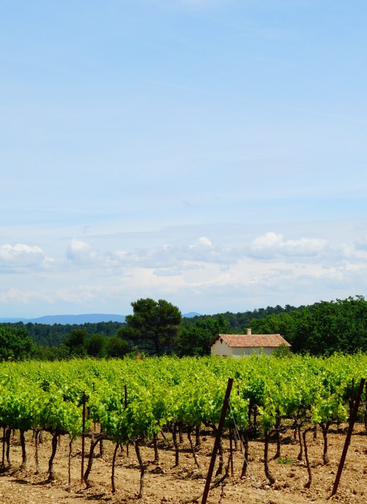 Provence