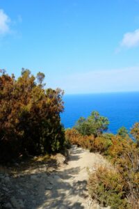 Cinque terre wandelen