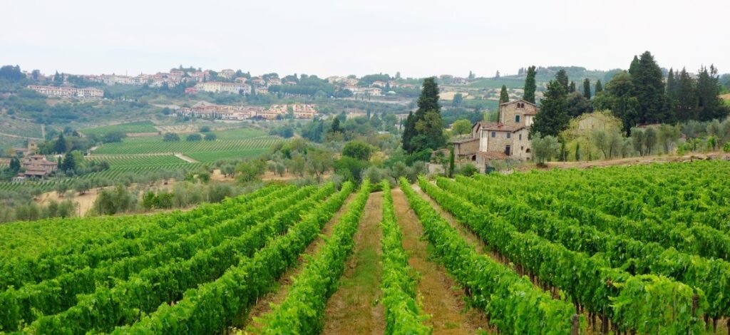 Chianti