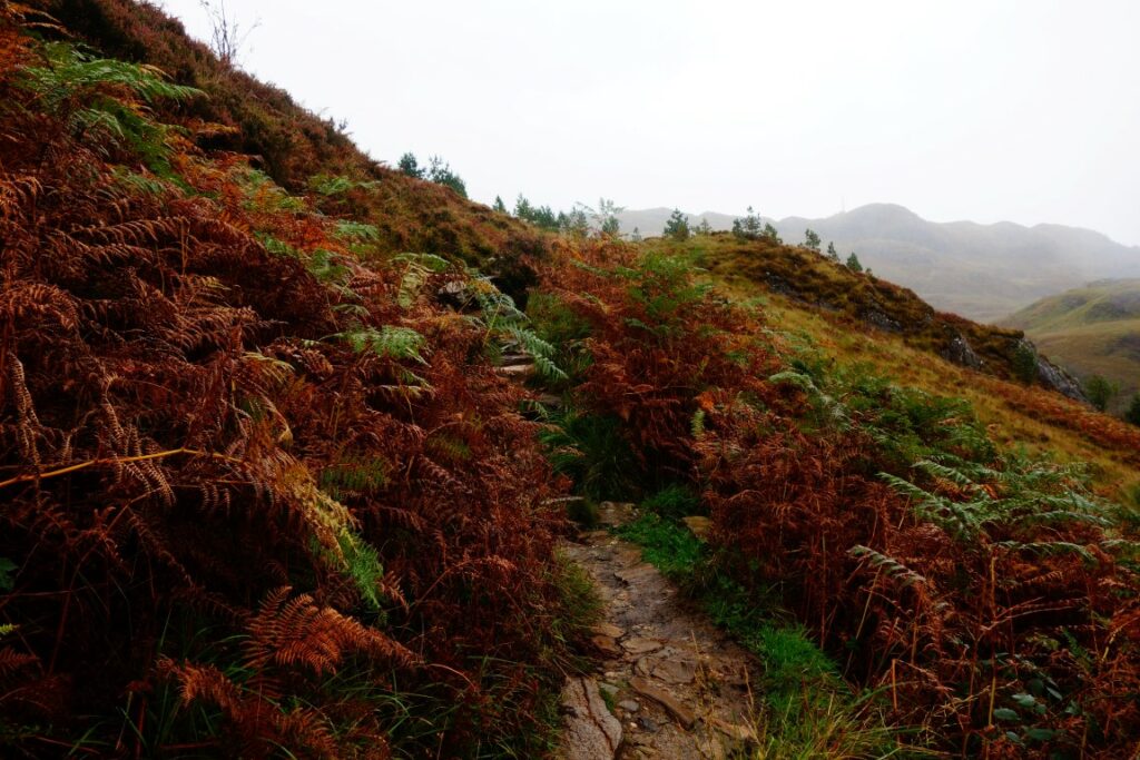 Glenfinnan viaduct wandeling