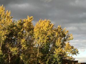 herfst