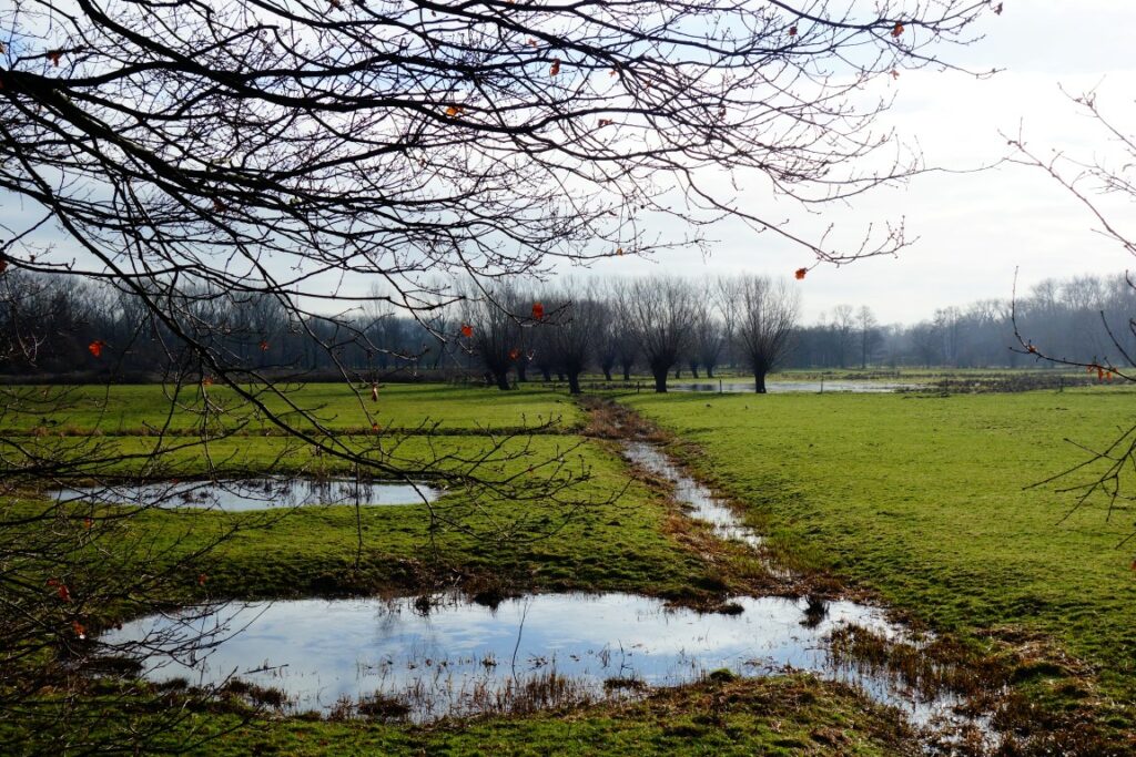 Mechels Broek