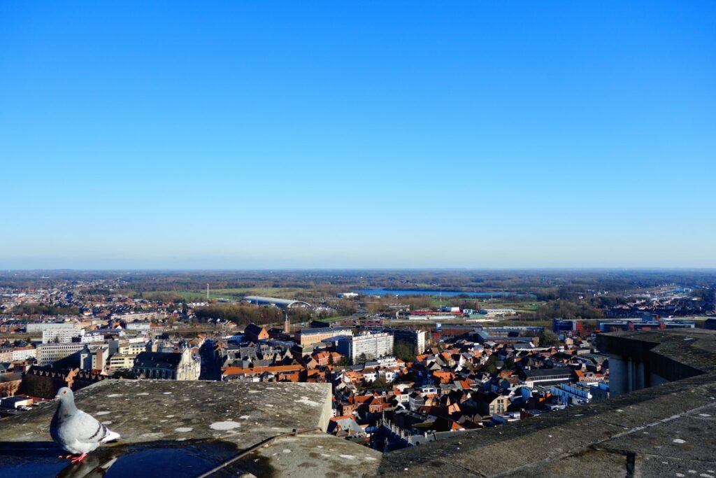 Dagje Mechelen