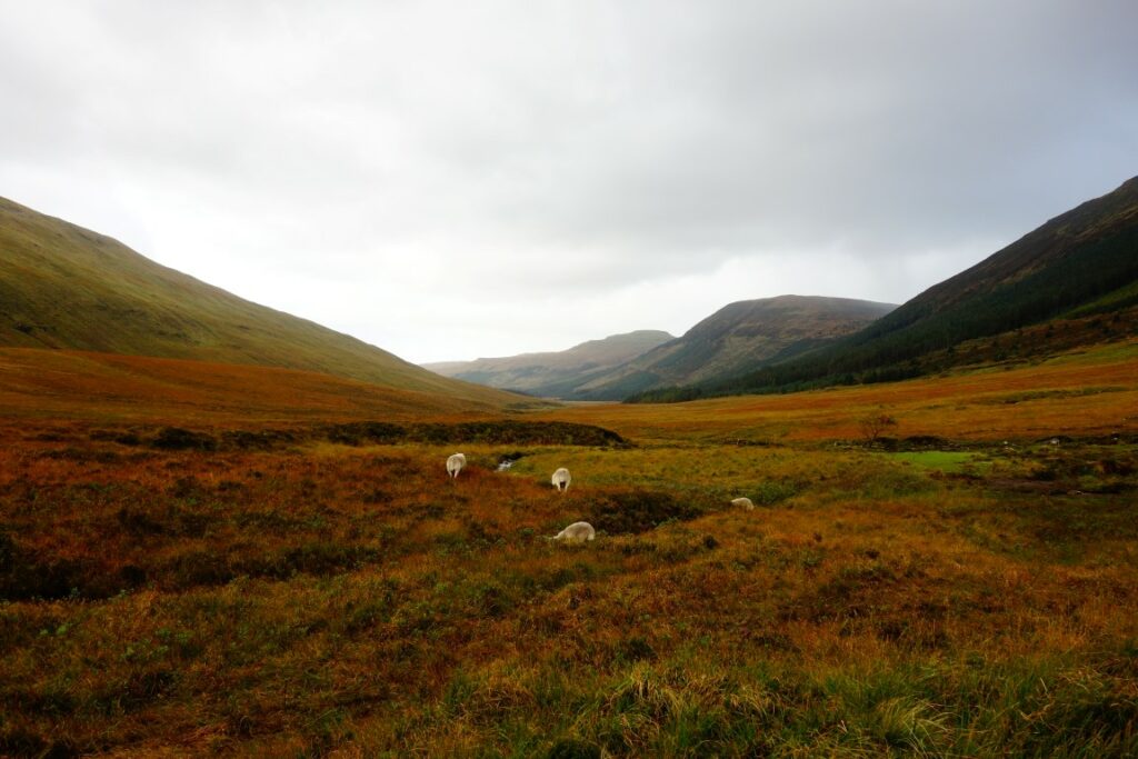 Isle of Skye