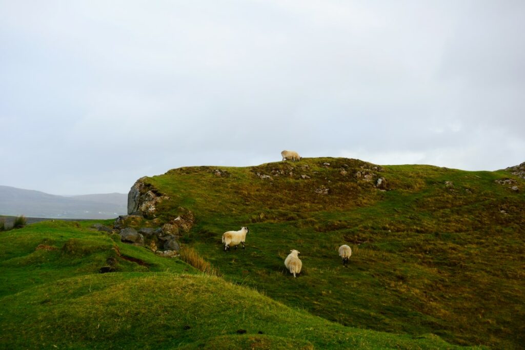 Isle of Skye Schotland