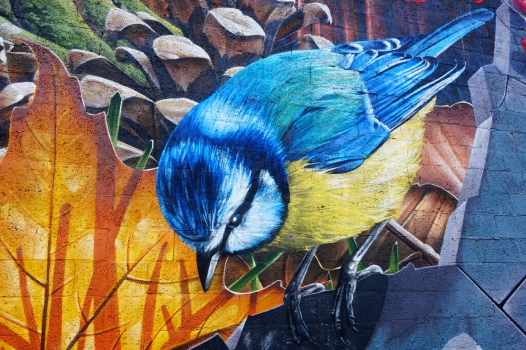 weekend Glasgow streetart