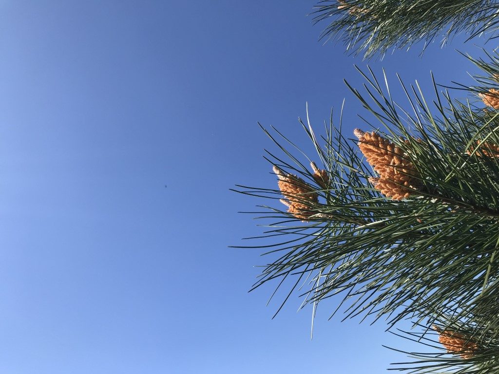 wandeling herentals