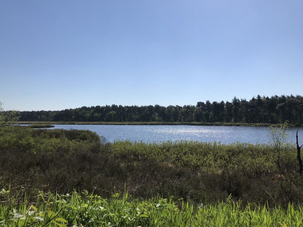 Wandeling