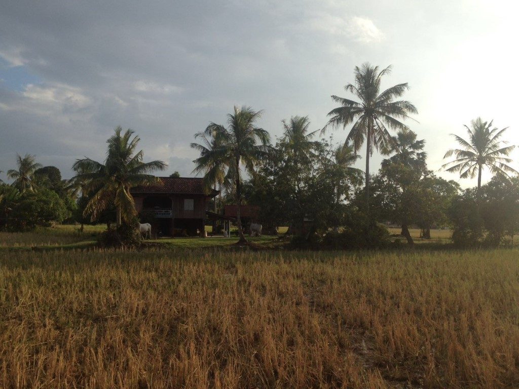Cambodja platteland