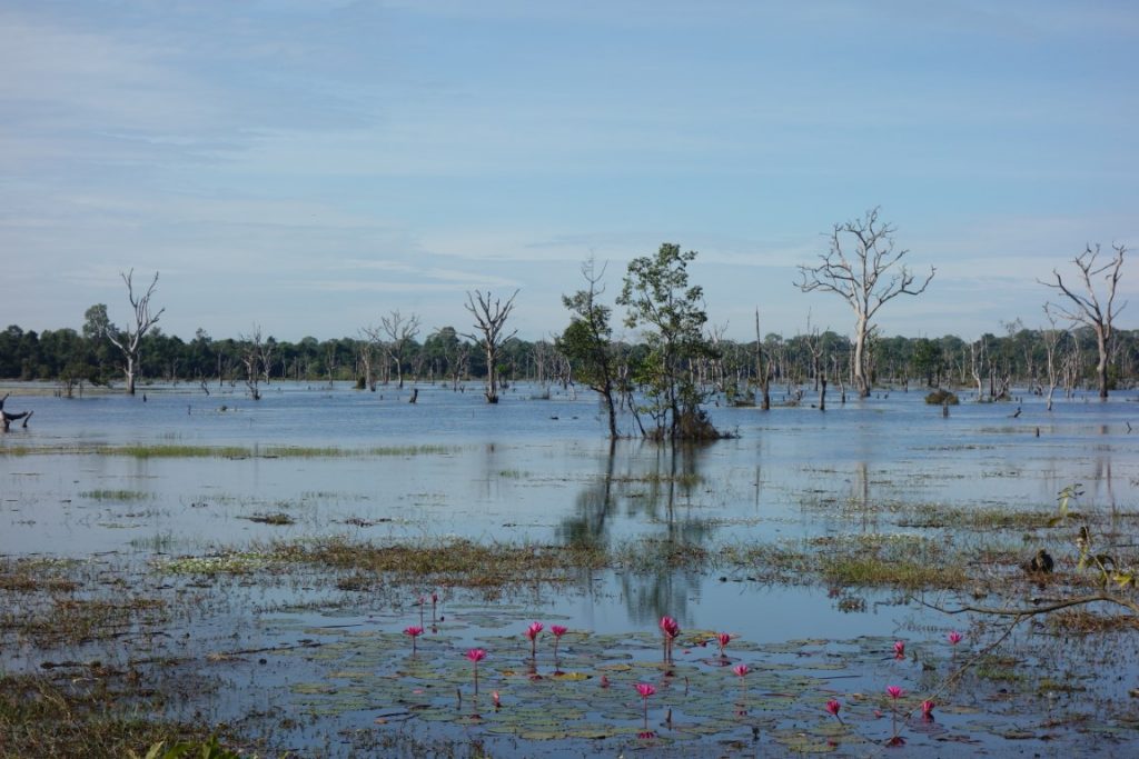 Angkor tempels