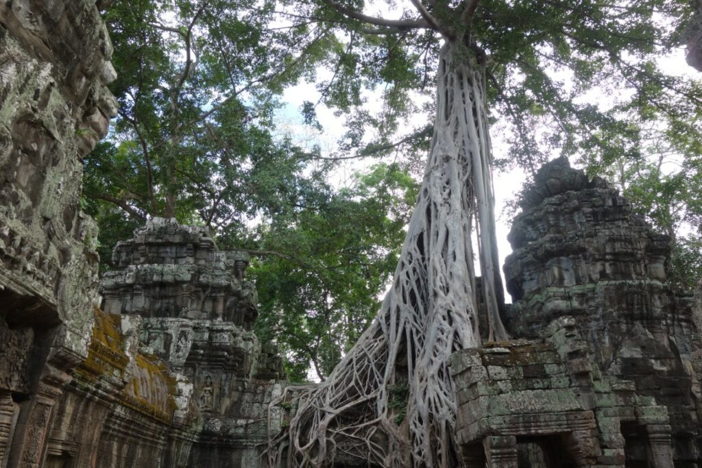 Cambodja Angkor tempel