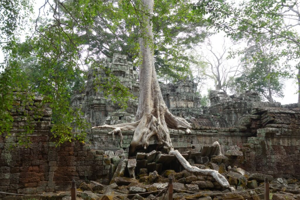 Cambodja Angkor tempel