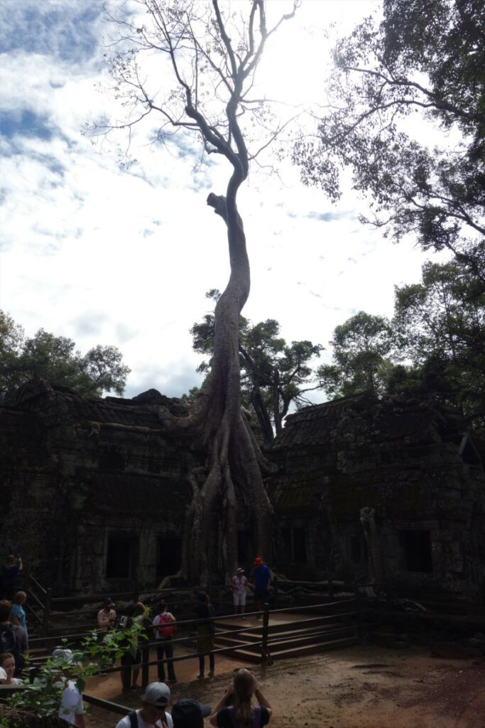 Cambodja Angkor tempel