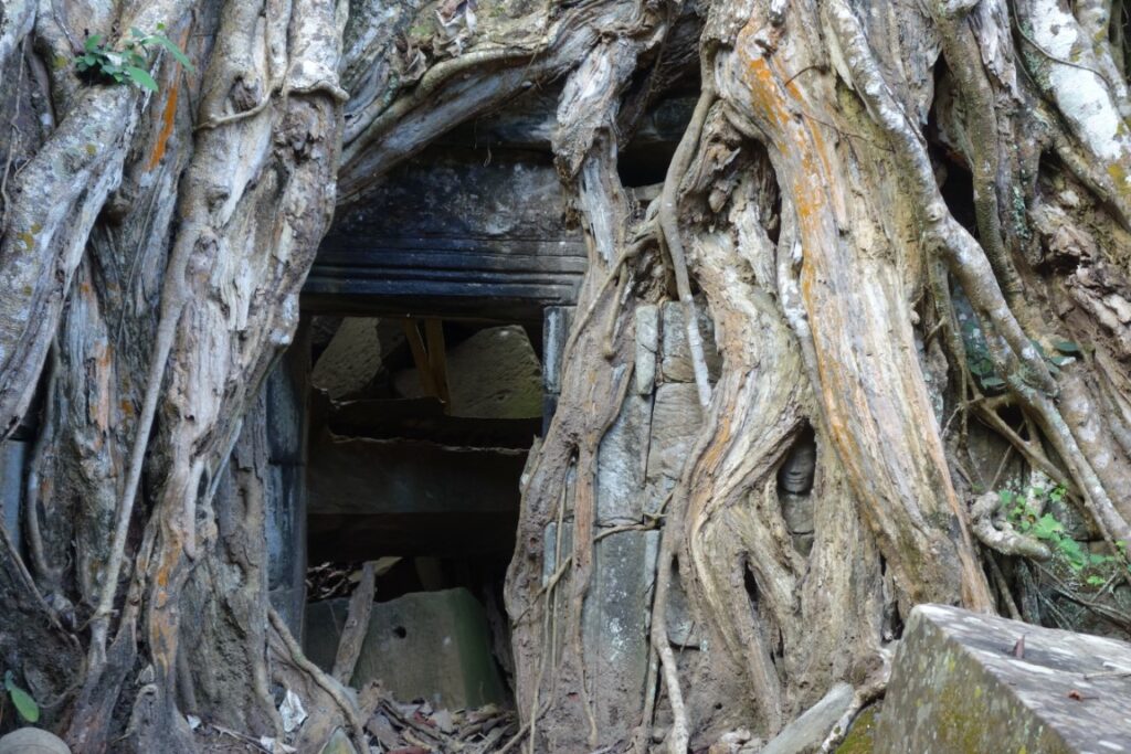 Cambodja Angkor tempel