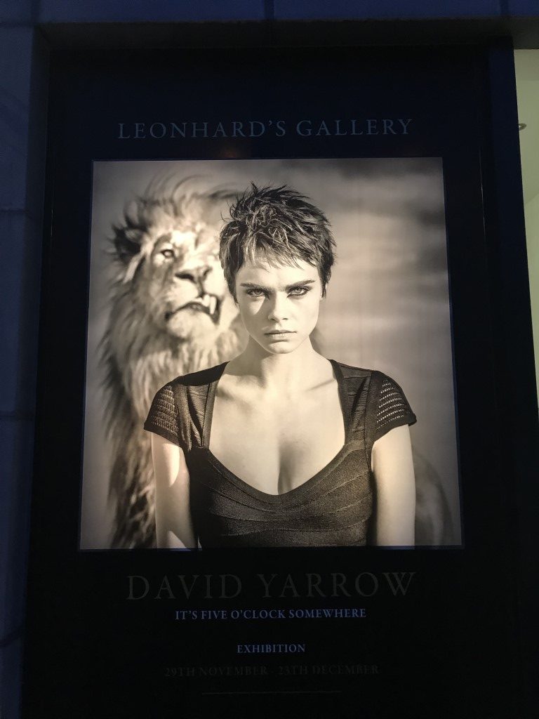 fotografie Antwerpen