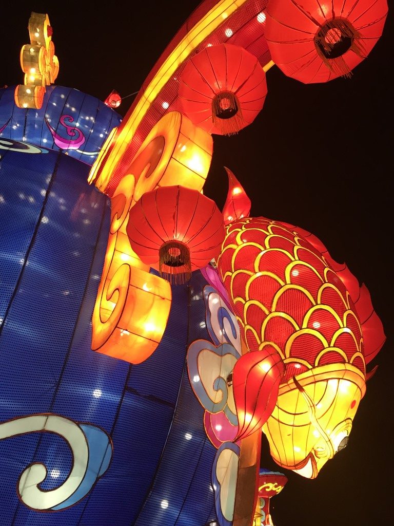 China Light Zoo Antwerpen