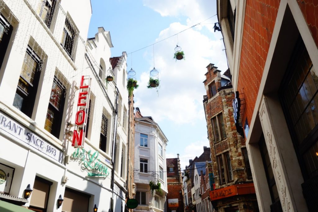 Dag Brussel
