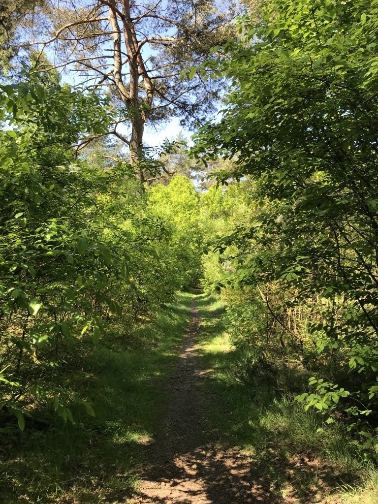 Belgie wandelen Herentals