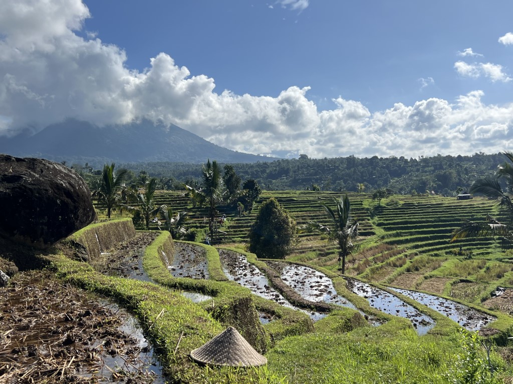 route bali, bali, rijstvelden, natuur, bedugul, jatiluwih