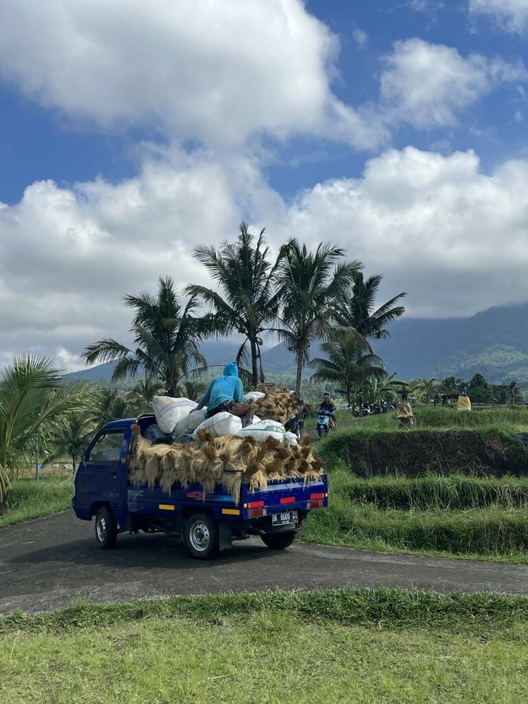 route bali, bali, rijstvelden, natuur, bedugul, jatiluwih