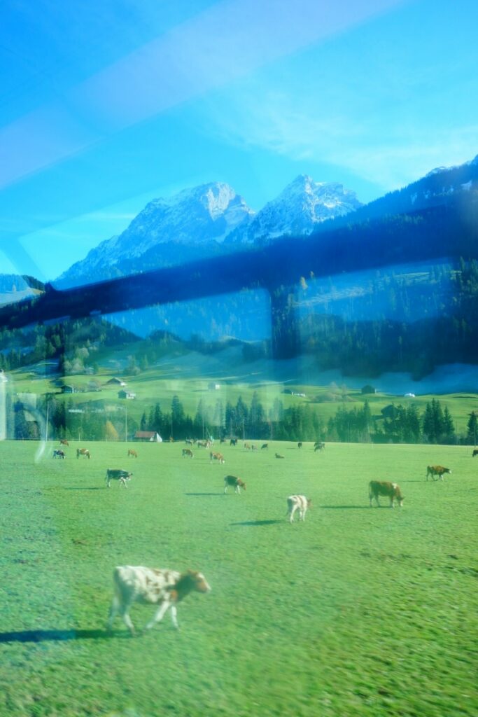 interrail, interrail zwitserland, trein, golden pass