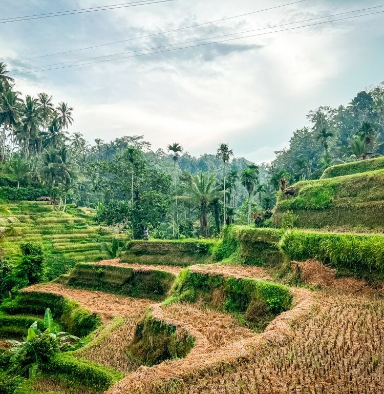 Bali: route voor 3 weken off the beaten track