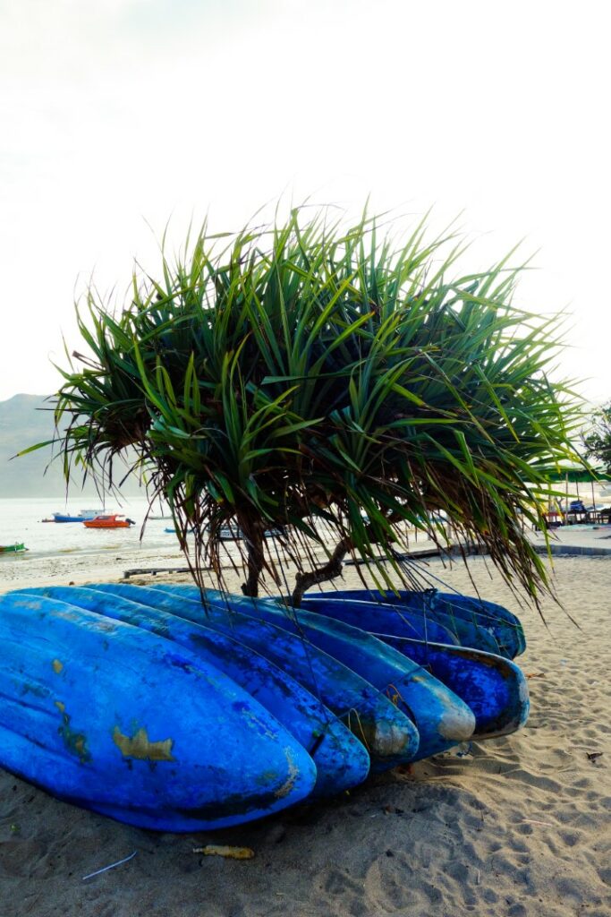 strand kuta lombok, kano, palmboom