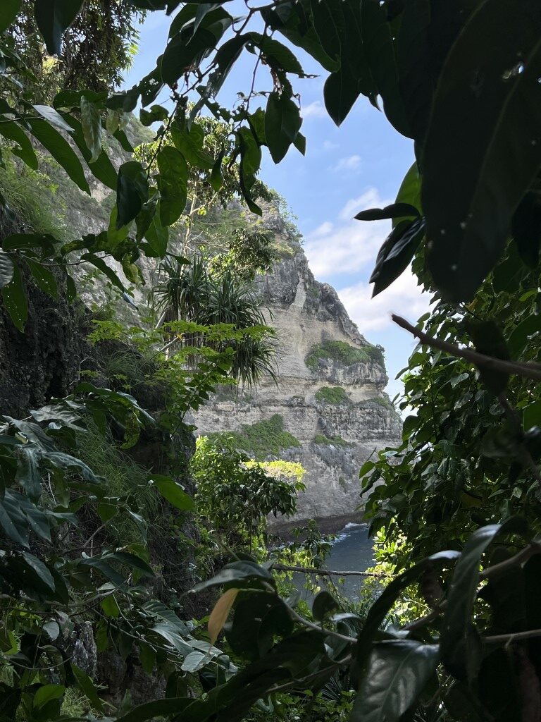 Nusa Penida, Diamond Beach, Nusa Penida dagtrip