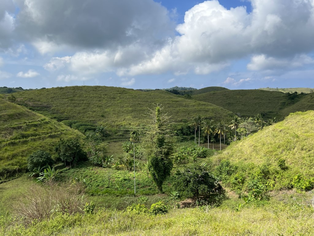 Nusa Penida, Nusa Penida dagtrip, Nusa Penida scooter, Nusa Penida auto, teletubbies hill