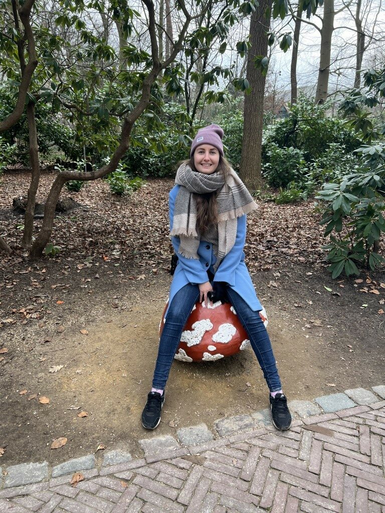 efteling, efteling paddenstoel