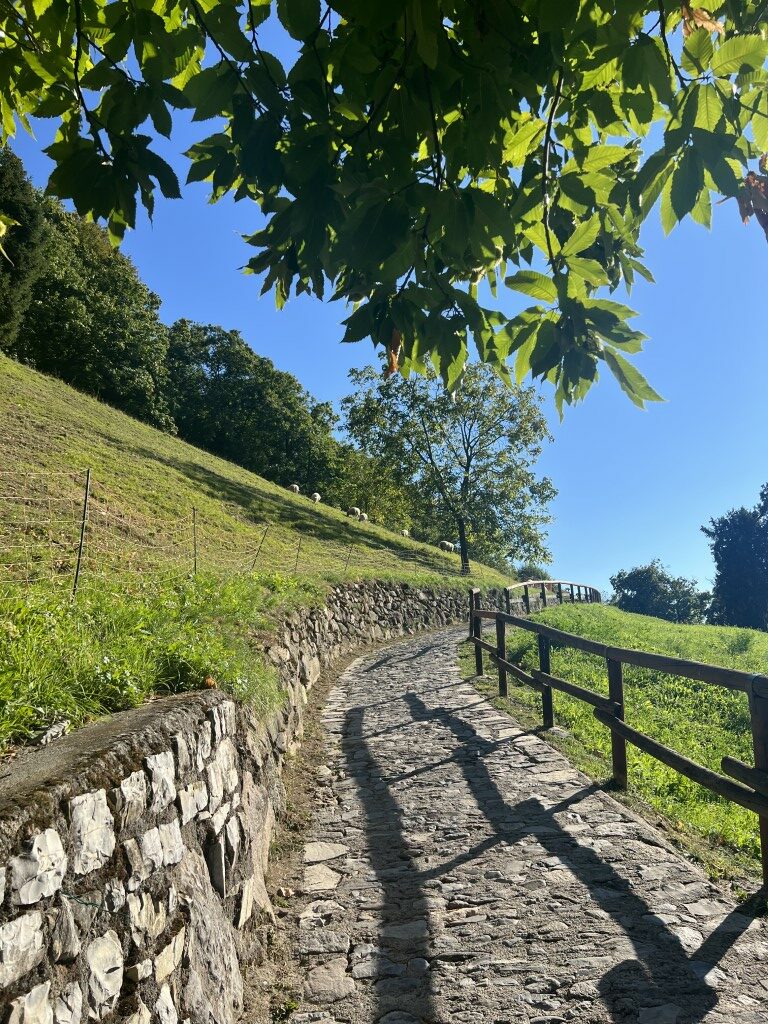 Italië meer, Italië Iseo, Italië hike, Monte Isola hike