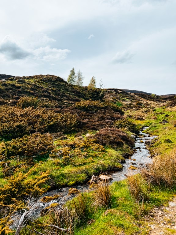 Schotland natuur, Schotland roadtrip, Schotland hike