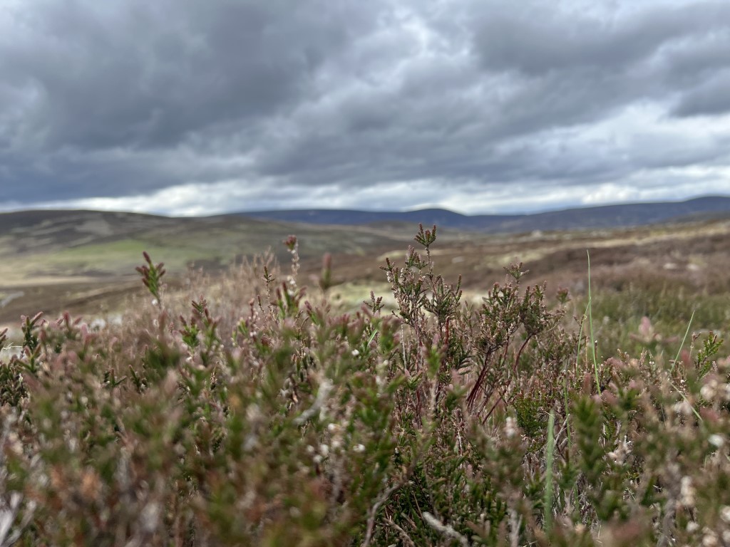 Schotland natuur, Schotland roadtrip, Schotland hike