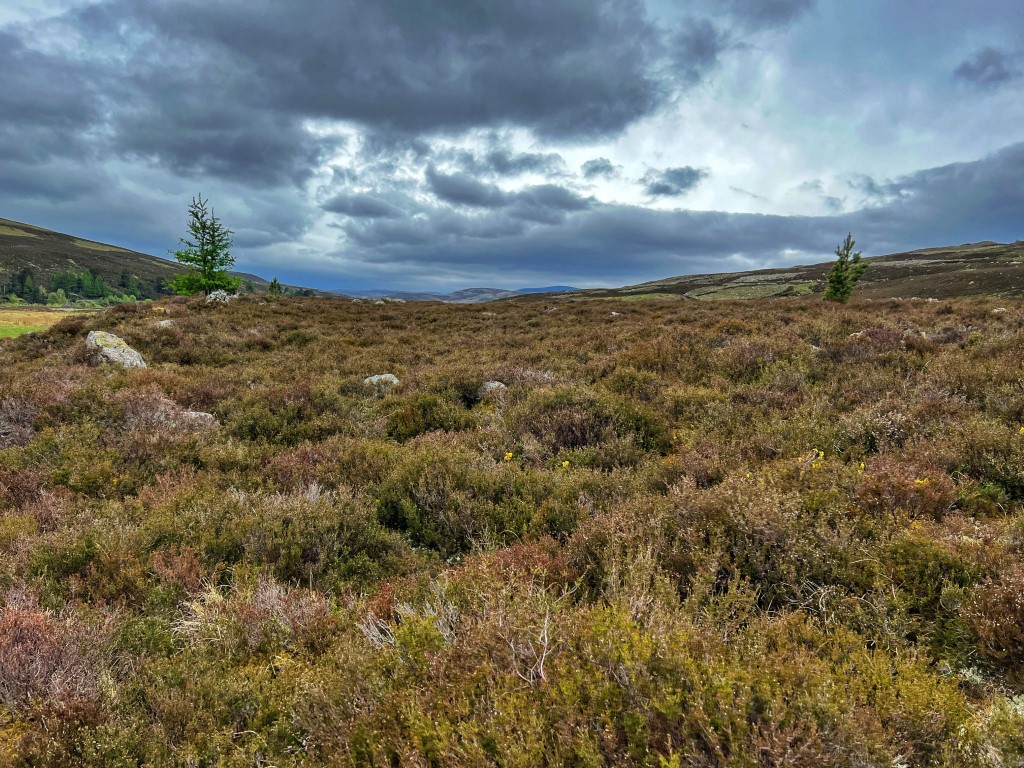 Schotland natuur, Schotland roadtrip, Schotland hike